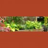 Springfield Landscaping