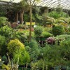 Trevena Cross Nurseries