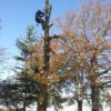 Kays Tree & Garden Services