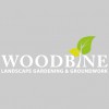 J Woodbine