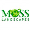 Moss Landscapes