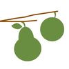 Apples & Pears Gardening