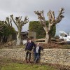 K B Trees & Garden Services