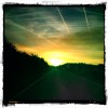 Gaia Landscapes