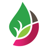 Arbour Landscape Solutions
