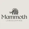 Mammoth Services