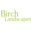Birch Landscapes