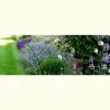 Joseph Jones Contract Gardeners