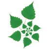 Silverbirch Gardens