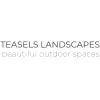 Teasels Landscapes