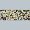The Gluttonous Gardener