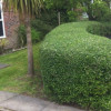 Clean Cut Gardening