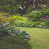 B-Landscaped Garden Services