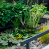 The Dutch Garden Centre