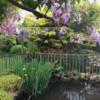 Garden Ties Surrey