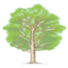 APG Gardens & Fencing