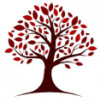 Rays Tree Care