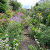 Garden Displays