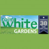 Colin White
