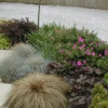 Largent Landscapes