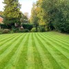 Decker Garden Services